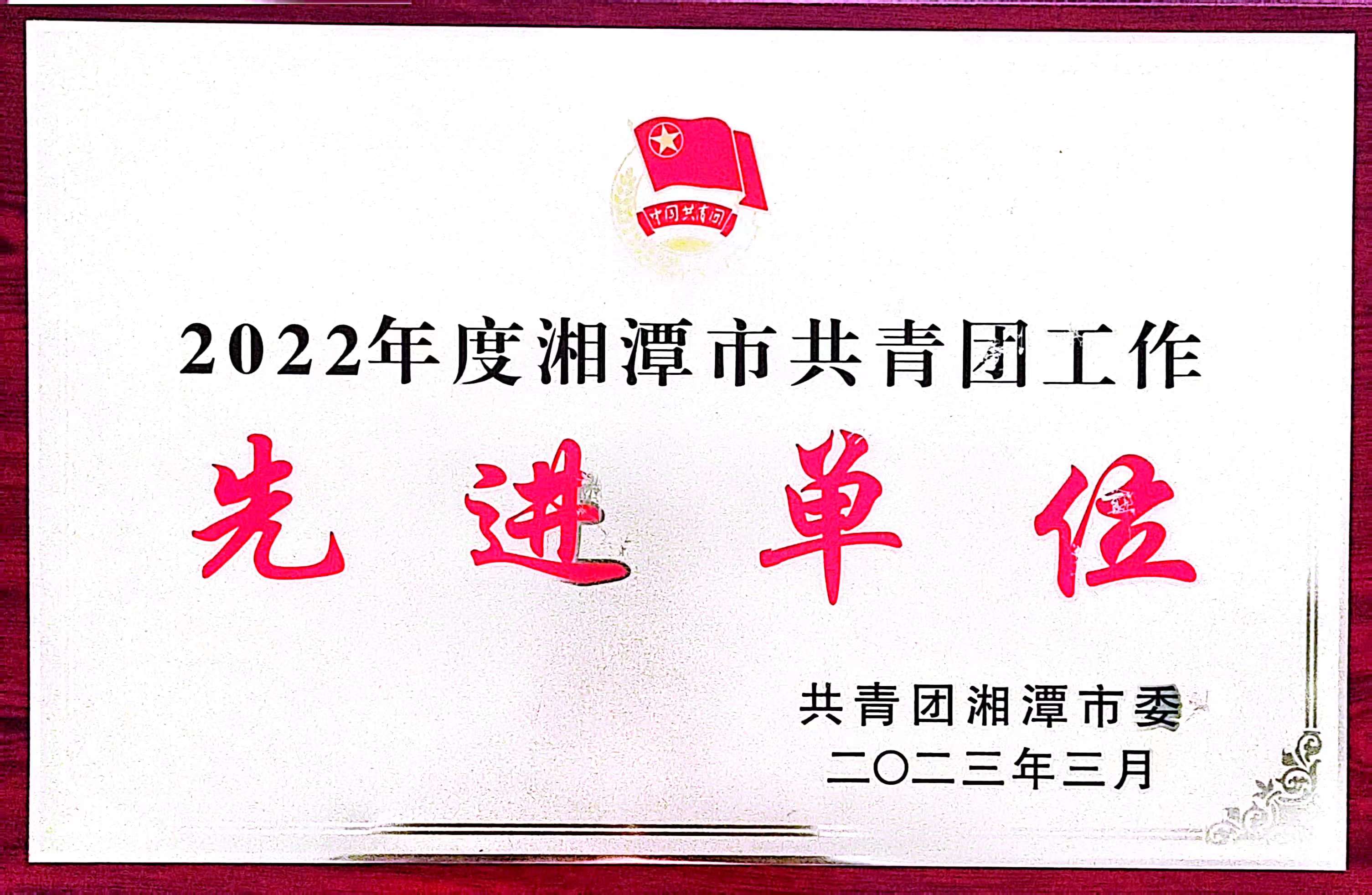 2022年度湘潭市共青团工作先进单位